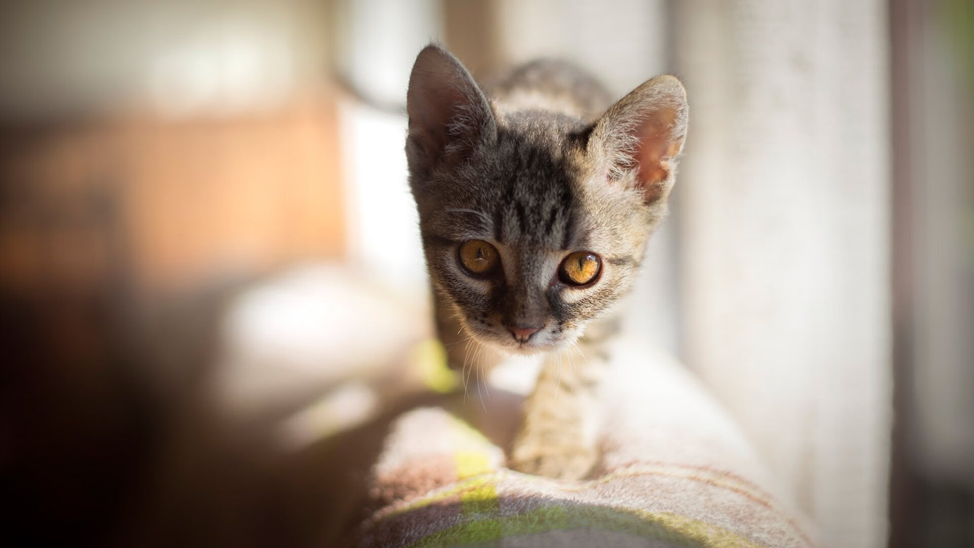 AIYOUXI.COM-2025中国足球产业峰会即将举行，行业大咖云集，中国足球产业白皮书