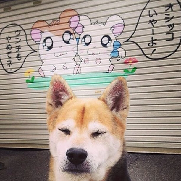 爱游戏平台-中国足球基础设施升级项目获多项国家资金支持，中国足球建设