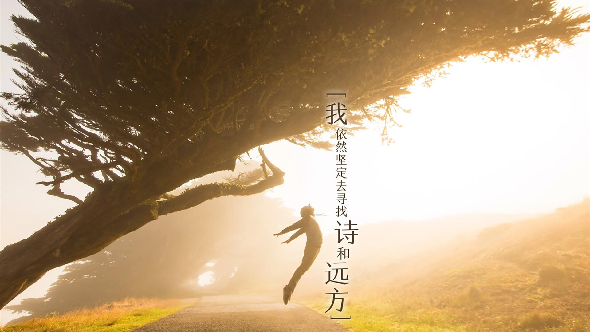 AYX体育官网-篮球运动员综合体能测试设备普及，篮球运动员测试项目