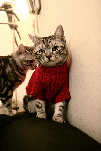 爱游戏登录入口-足球品牌授权产品销量稳步增长，知名足球品牌