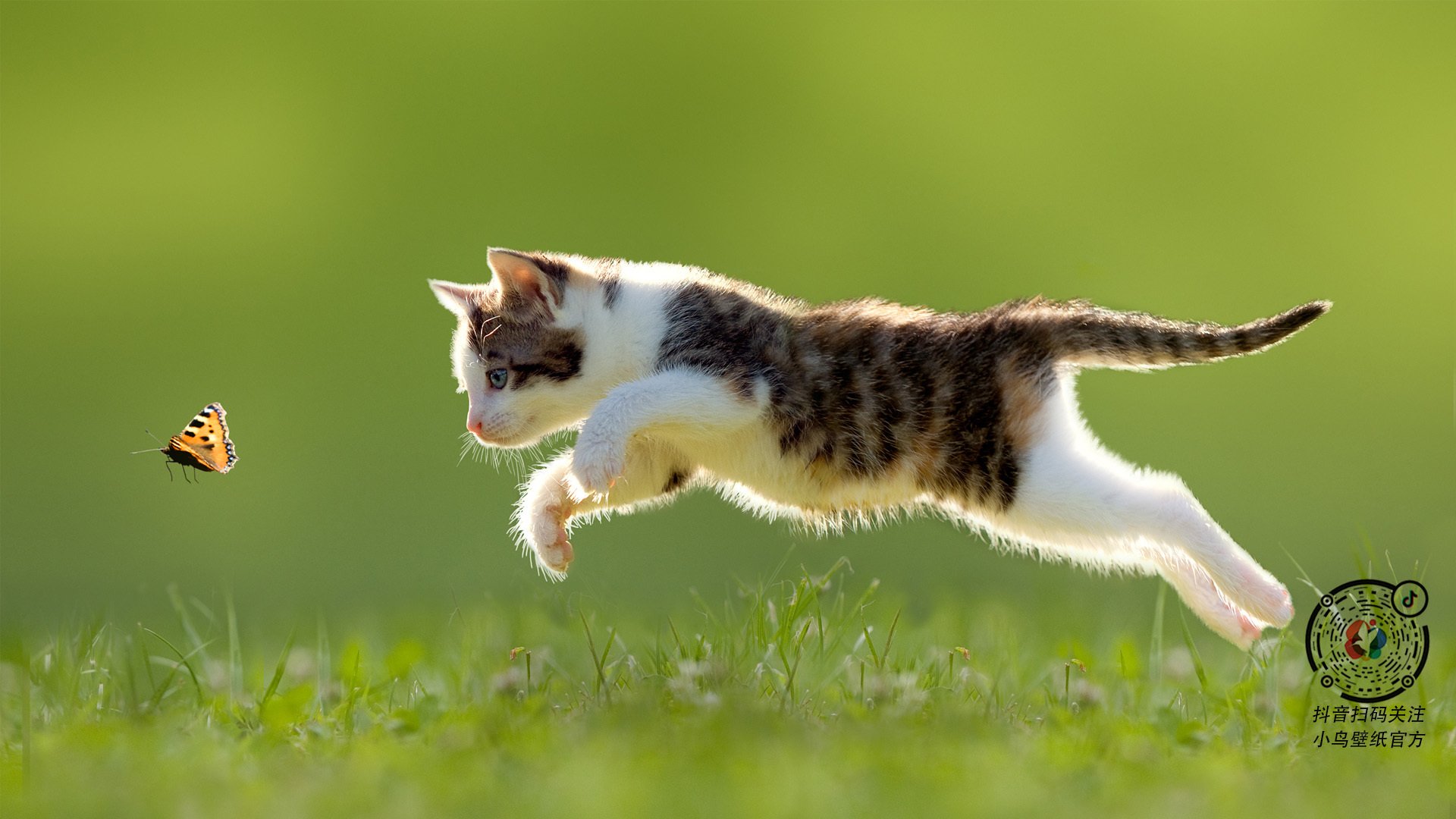 爱游戏体育-俄罗斯队在比赛中披荆斩棘，豪取胜利，俄罗斯比赛视频