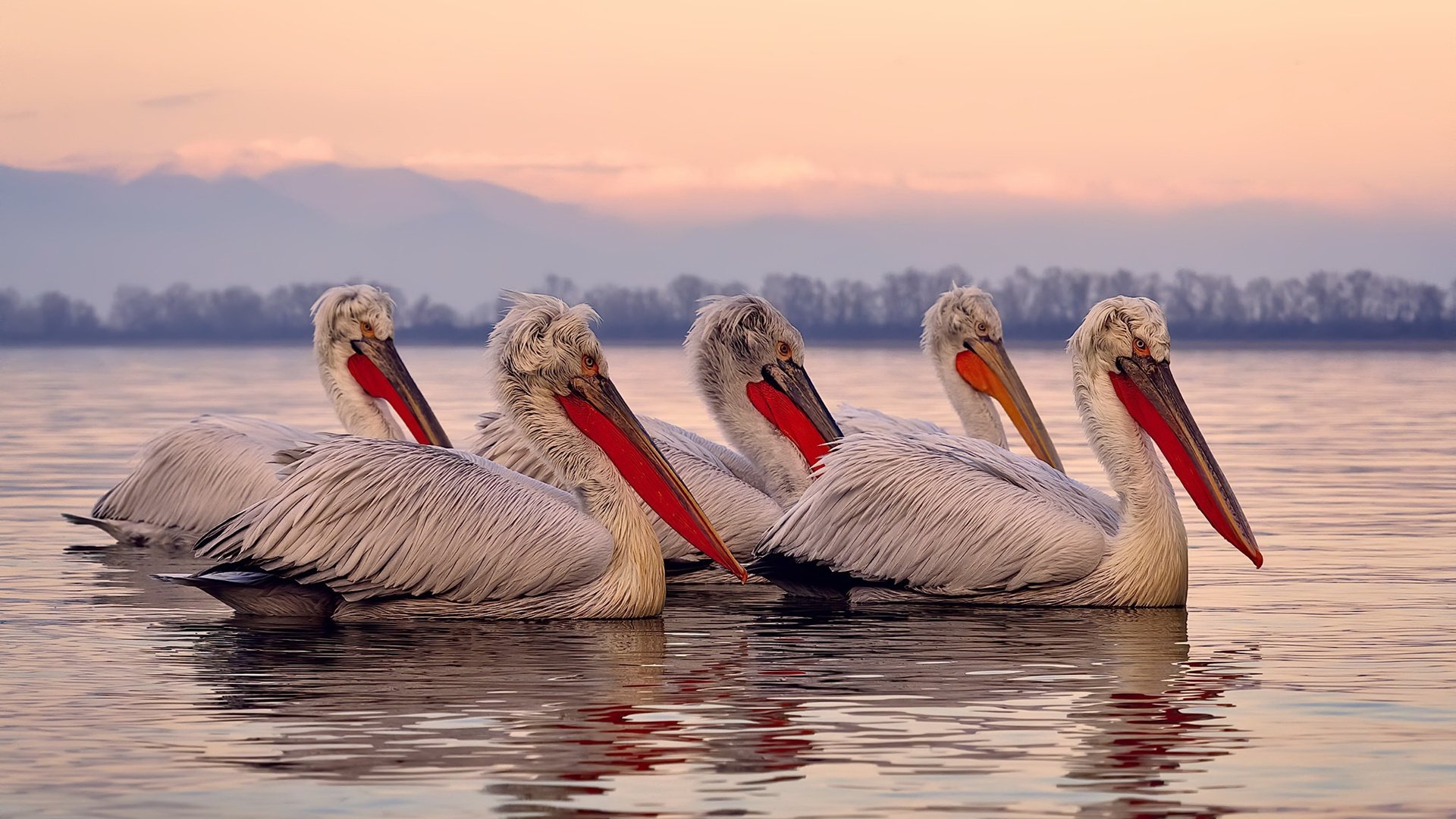 爱游戏中国官方登录入口网站-历史性网球老将重返四强，历史网球名将