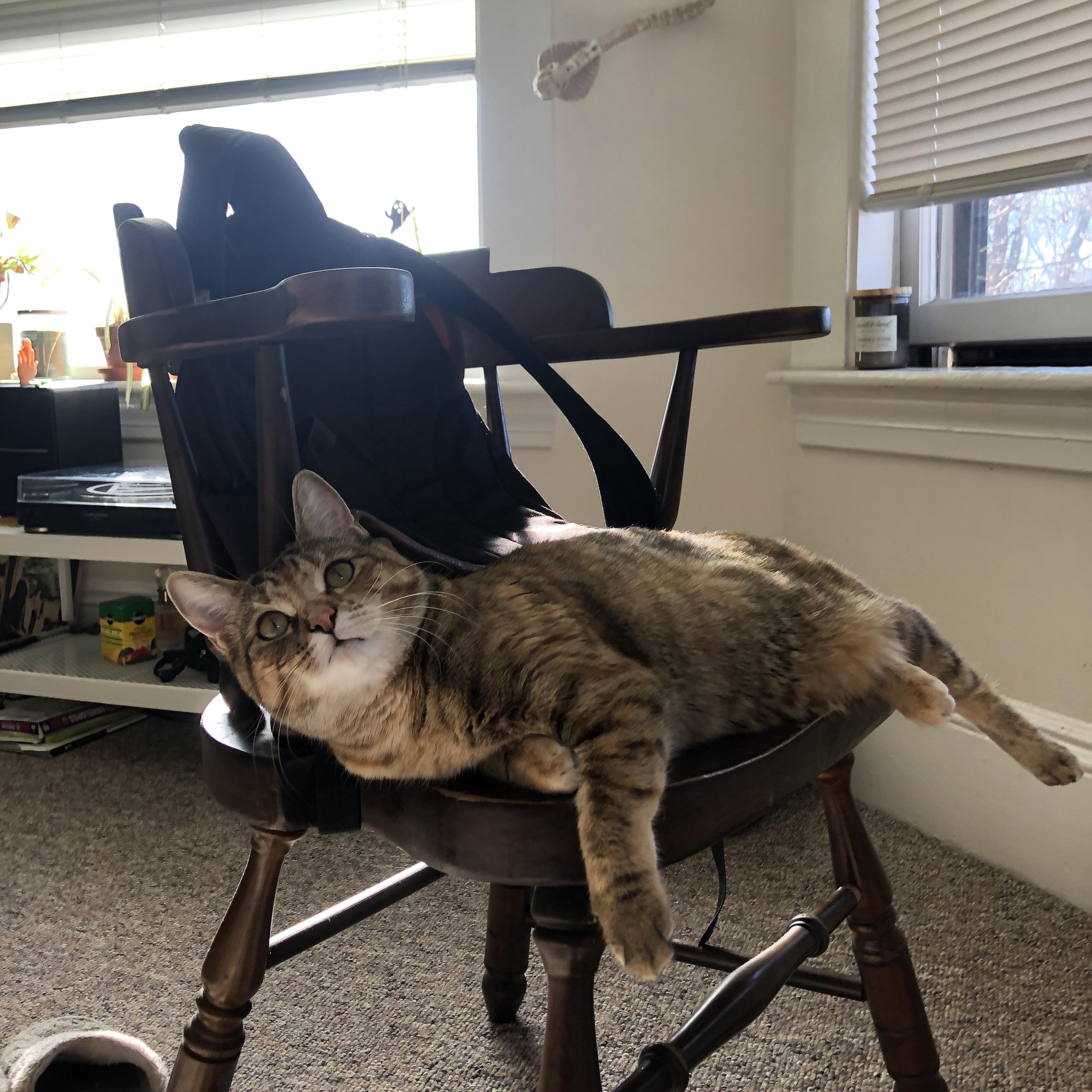 外援球员发挥出色，成为球队利器，外援好吗