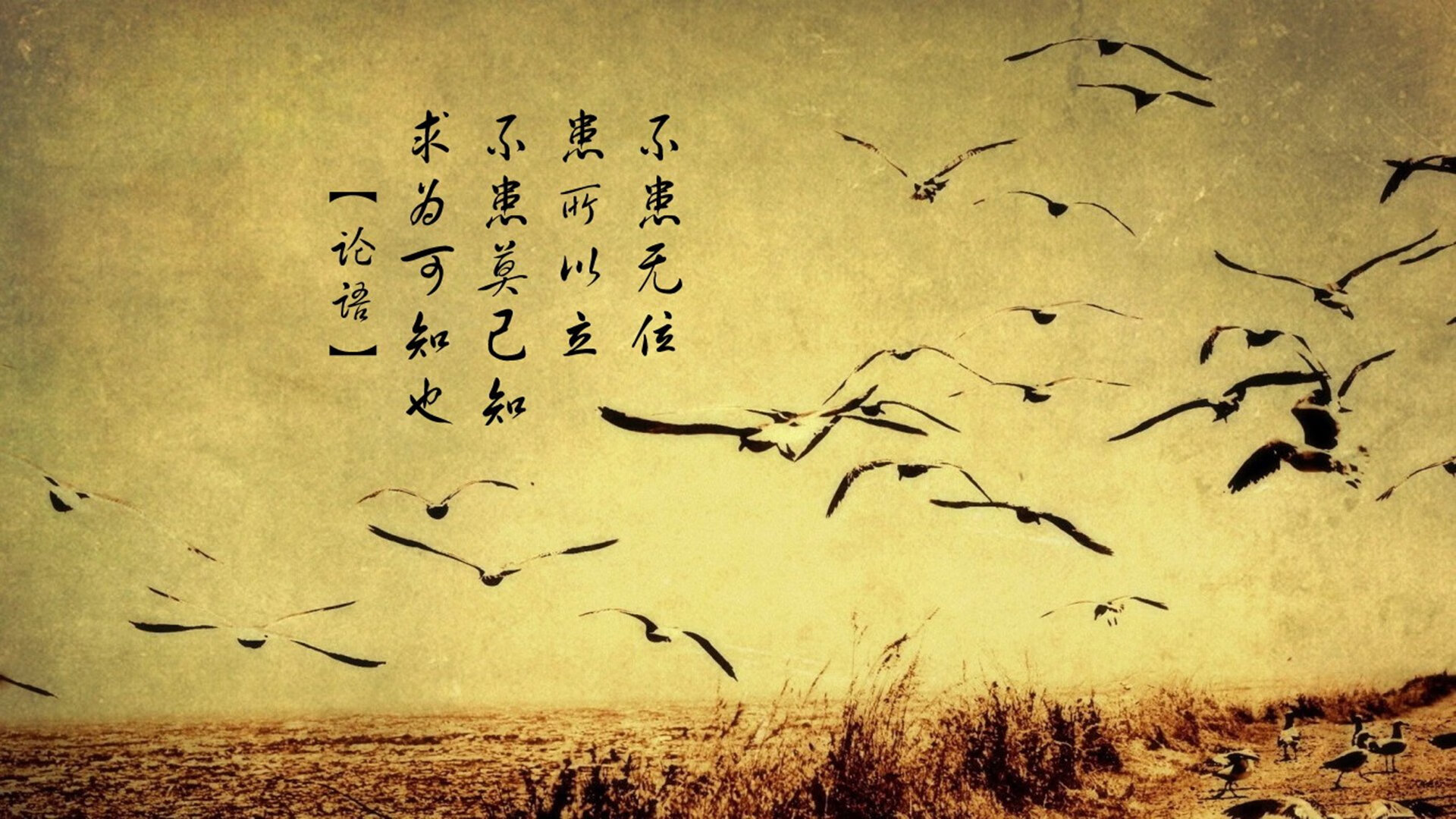 电竞职业选手身体康复训练及科学营养指导实践，电竞选手身体素质训练