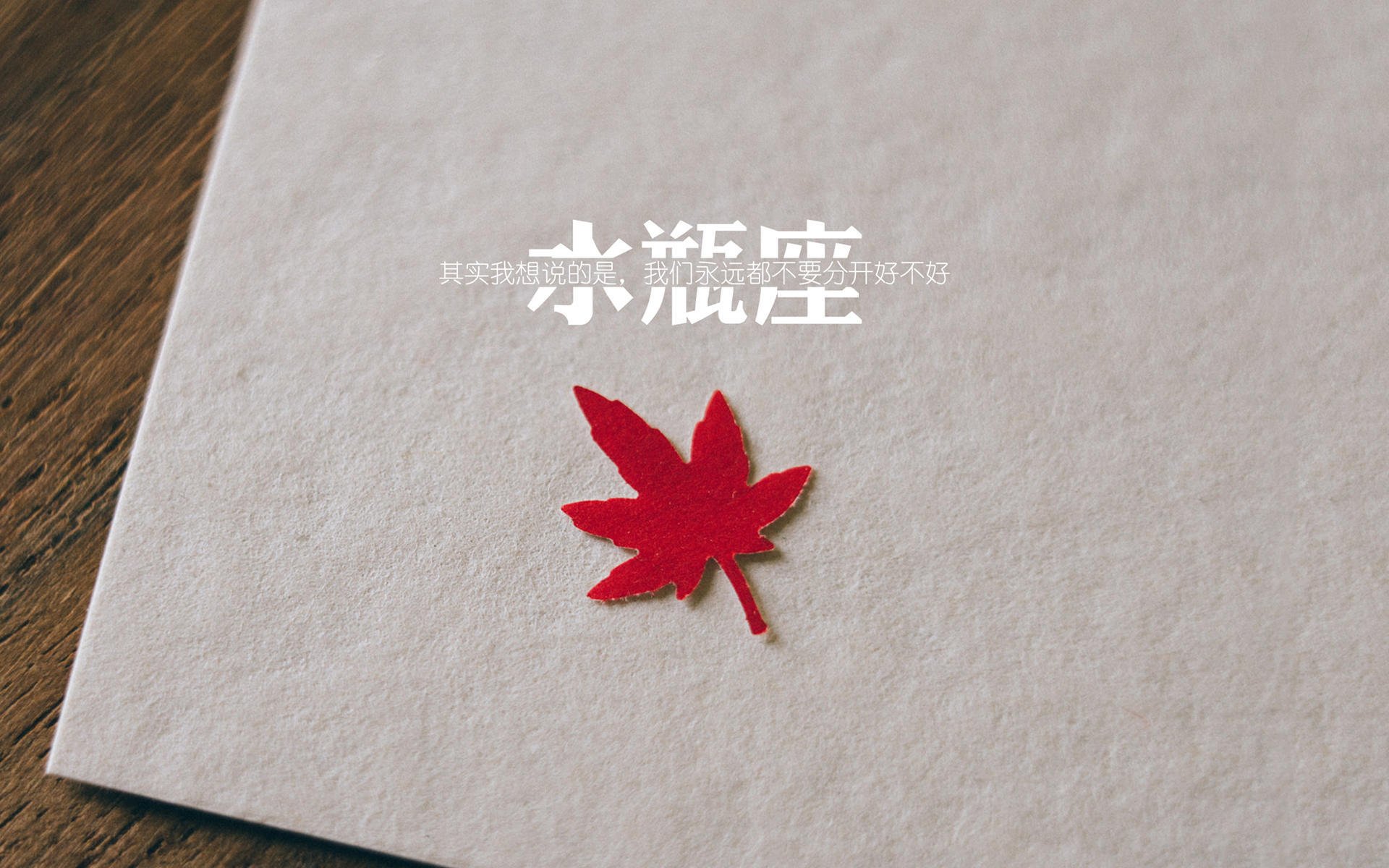 AYX GAMING-青海队员表现亮眼，场上表现令人惊艳！，青海球员