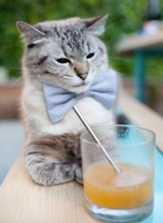 爱游戏官方网站-韩选手星际争霸排名持续攀升，星际争霸韩国选手