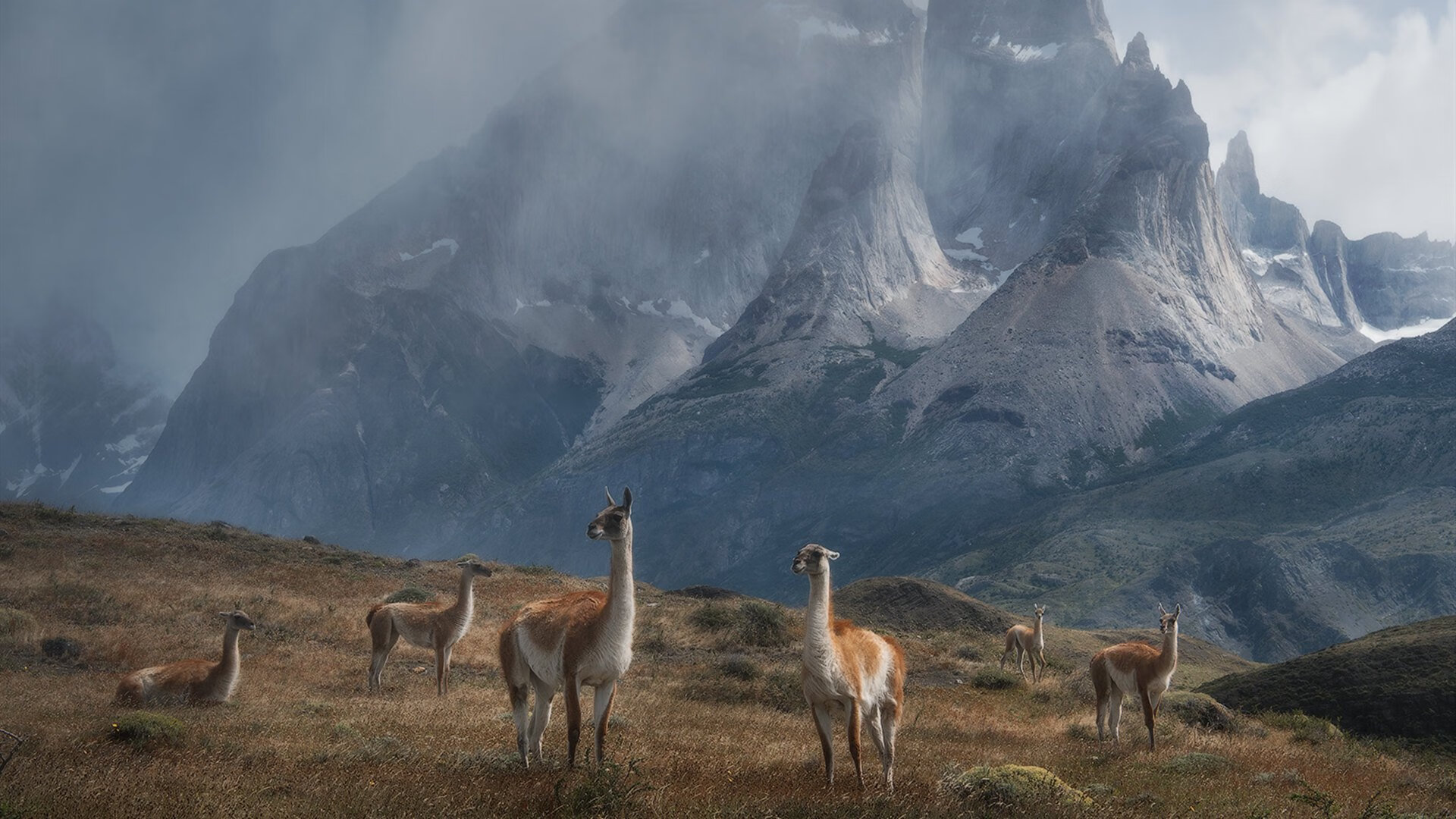 赛季最惊喜表现：意料之外的黑马队伍突围，lol黑马战队