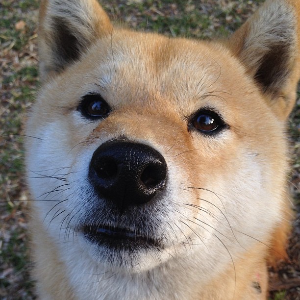 青少年健身类短视频内容影响因素研究，短视频平台对青少年的影响