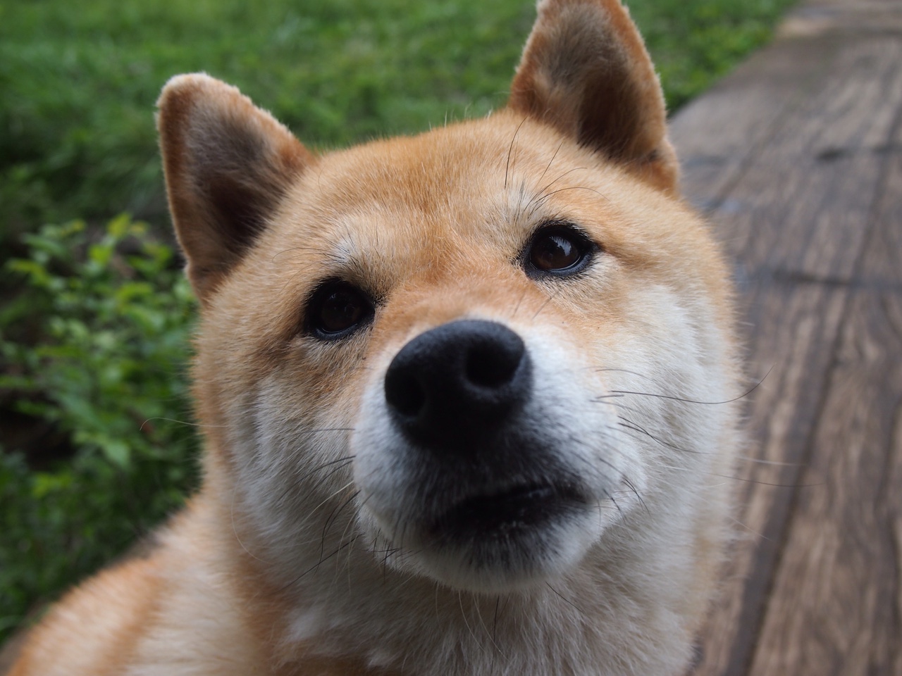 “速度与技巧！新都香城福乐球赛激烈进行”