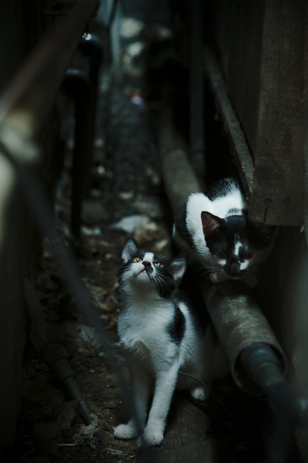节奏快慢是否决定球队的比赛风格，节奏的快慢是什么意思