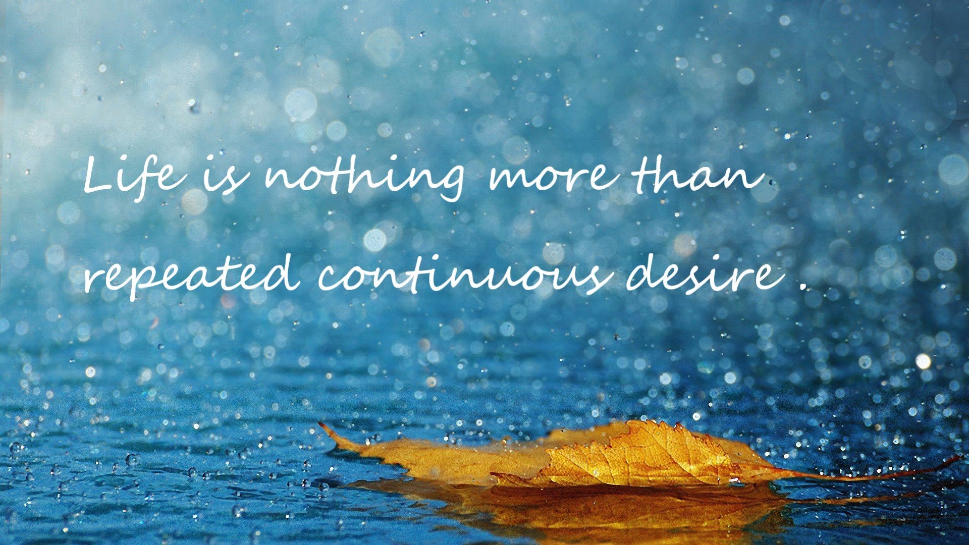 乌干达女篮在非洲锦标赛中奋勇争冠，持续崛起