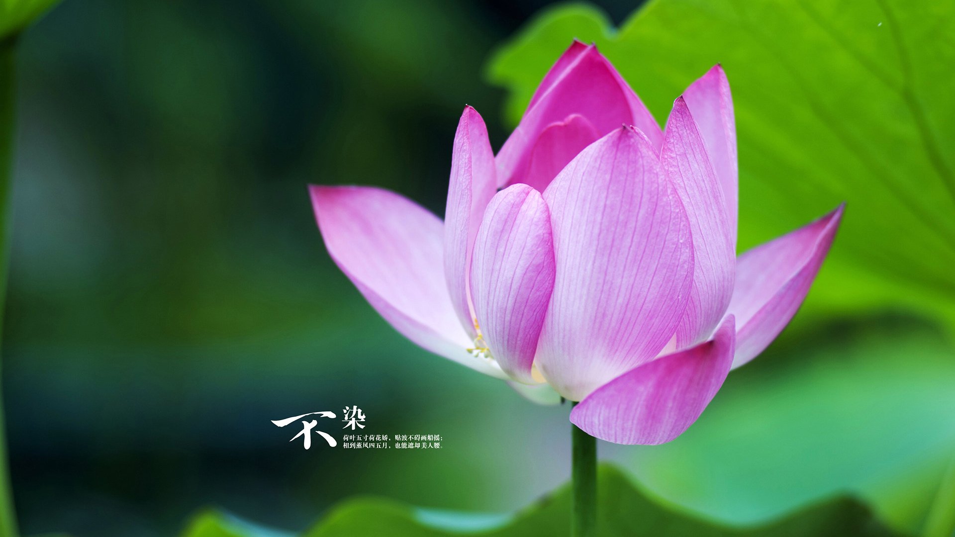 爱游戏电竞-独行侠核心球员接受专访谈团队变化，独行侠球员最新名单