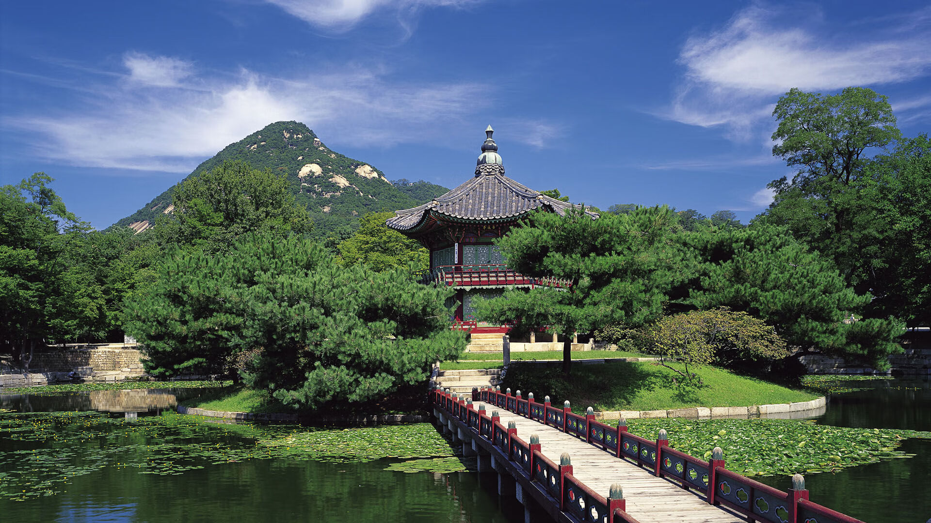 美洲杯逆境中崛起:英雄扬眉吐气!,美洲杯精彩