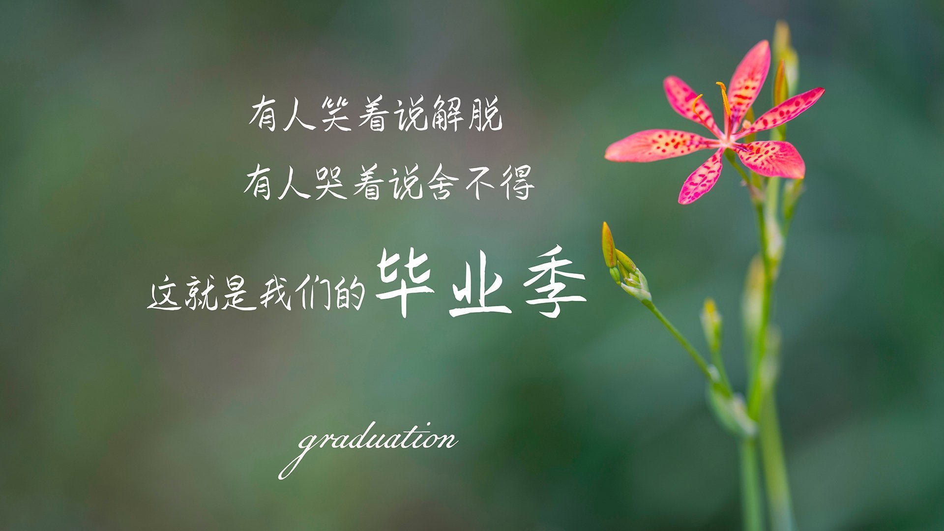 马拉松赛事交通协调机制更加成熟，马拉松阻碍交通